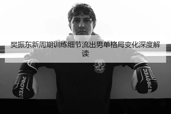 樊振东新周期训练细节流出男单格局变化深度解读